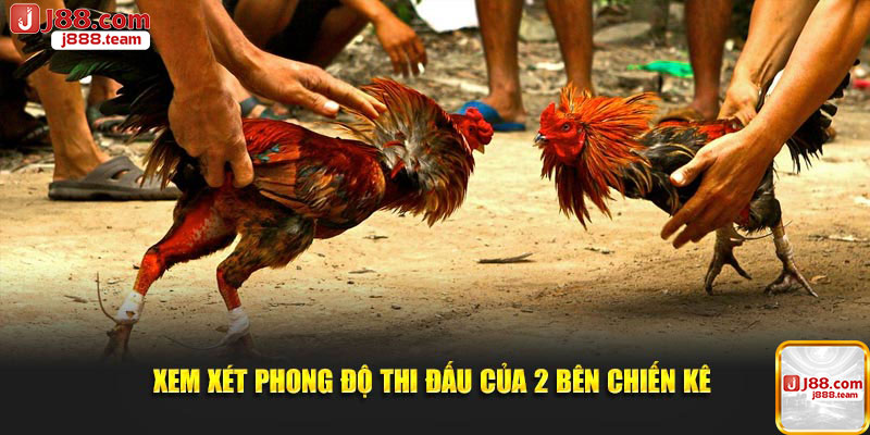 Đánh giá kết quả dựa trên phong độ của các chiến kê