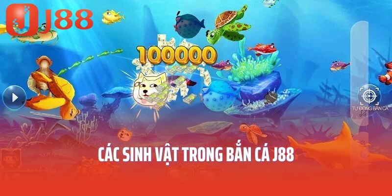 Các sinh vật trong bắn cá J88