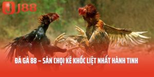 Đá Gà 88