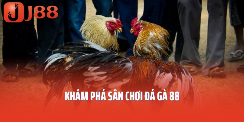 Khám phá sân chơi đá gà 88