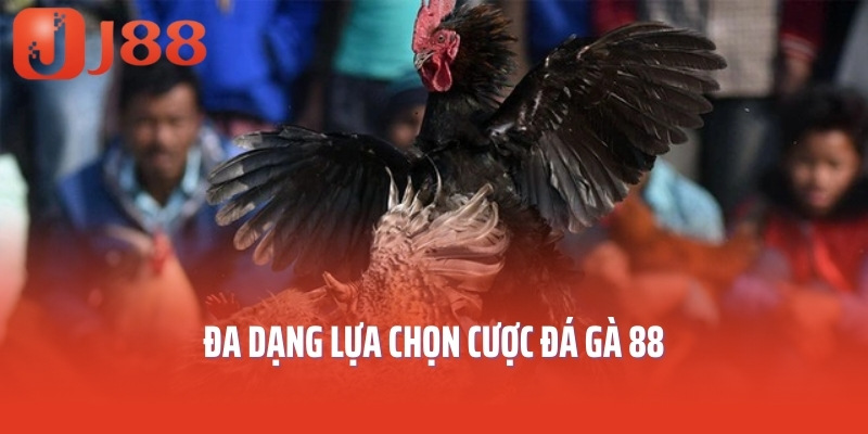 Đa dạng lựa chọn cược đá gà 88