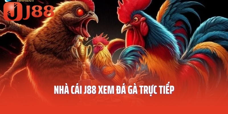 Nhà cái J88 xem đá gà trực tiếp