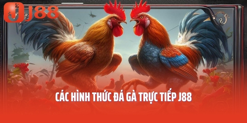 Các hình thức đá gà trực tiếp J88