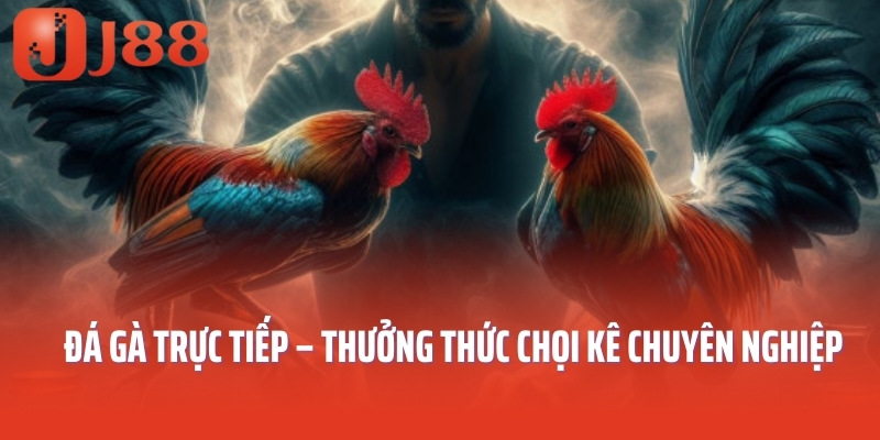 Đá Gà Trực Tiếp