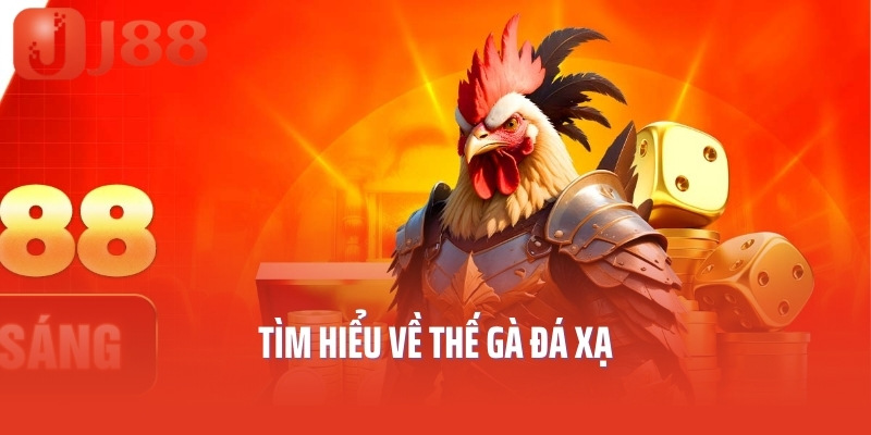 Tìm hiểu về thế gà đá xạ