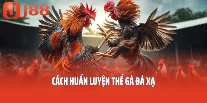 Cách huấn luyện thế gà đá xạ